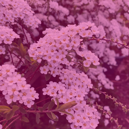 mm