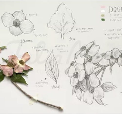 https---cdn.evbuc.com-images-296321429-205757602177-1-original.20220602-212937