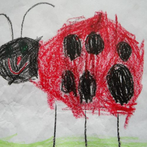 ladybug-g623297758_1920