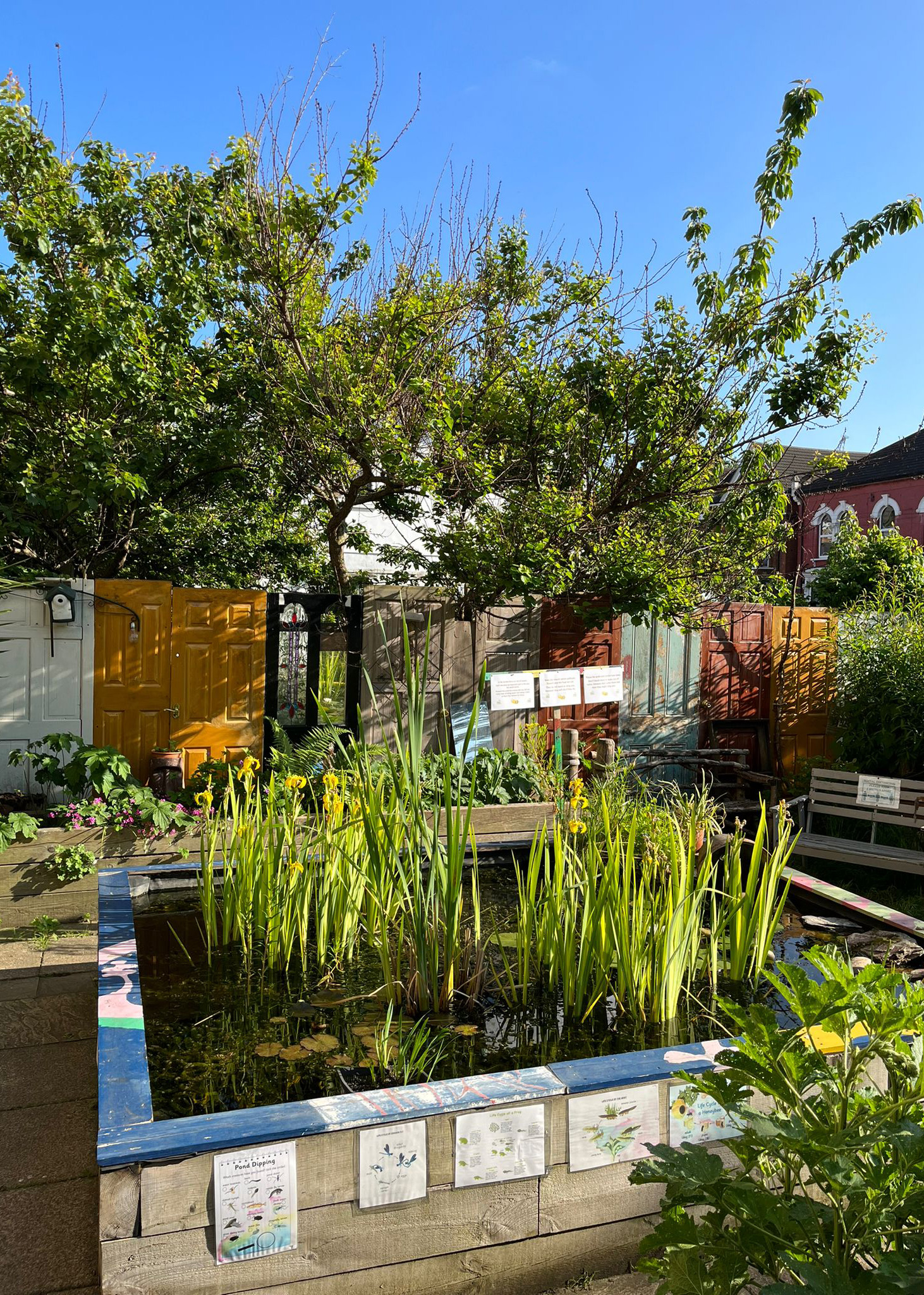 Image of the pond in the garden