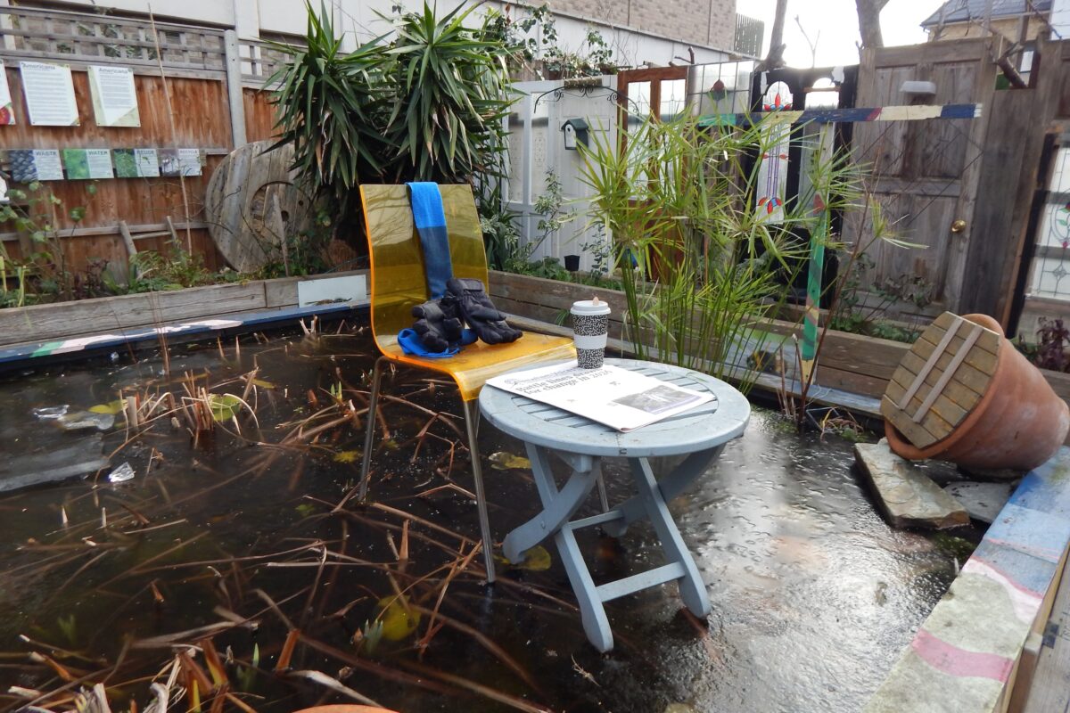 image of the garden in freezing weather